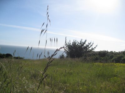 view from a nice place to sit