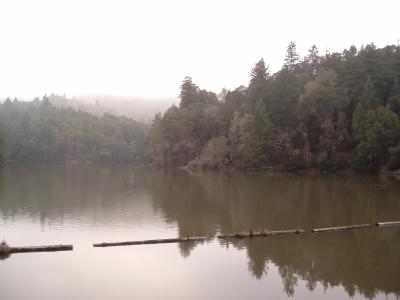 Lake Lagunitas