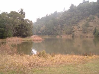Lake Lagunitas