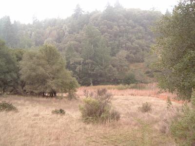 Lake Lagunitas