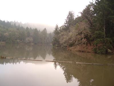 Lake Lagunitas
