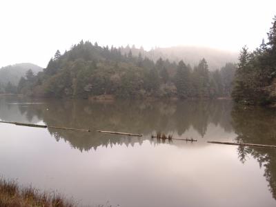 Lake Lagunitas