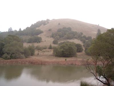 Lake Lagunitas