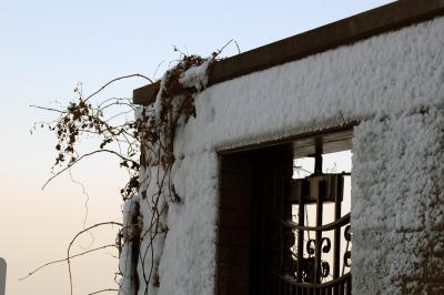 snow on brick