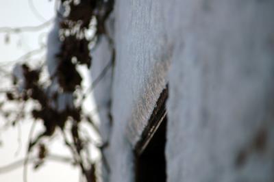 snow on brick