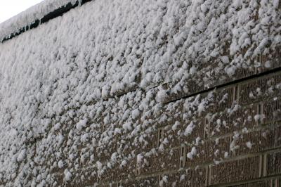 snow on brick