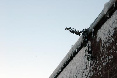 snow on brick