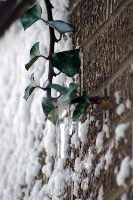 snow on brick