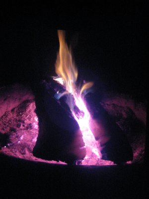 firelight