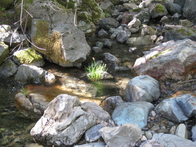 creek