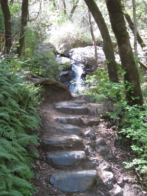 steps up to the cascade