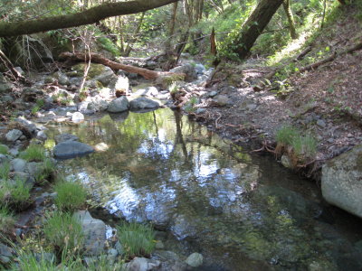 creek