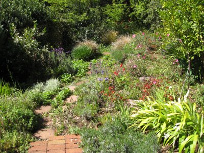 garden
