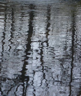g3/16/394516/3/123791830.KfcmkVVS.jpg