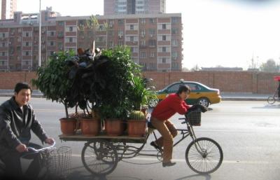 plant delivering