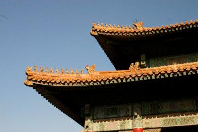 roof animals
