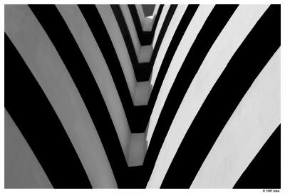 zebra(abstract)