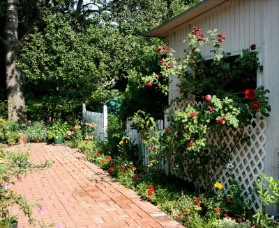 Susan's Garden