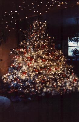 Another of our Christmas Trees