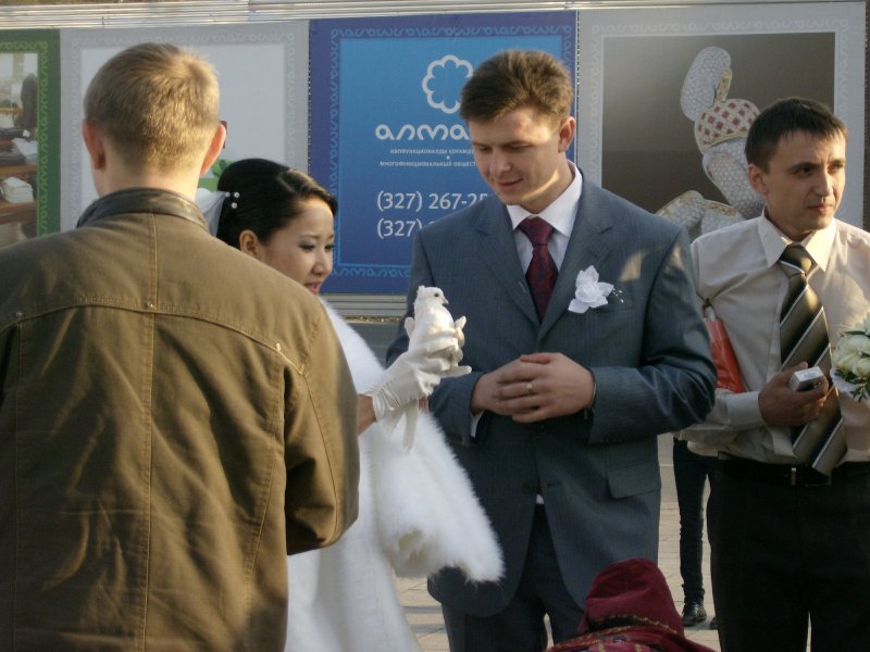 Here a bride holds a dove