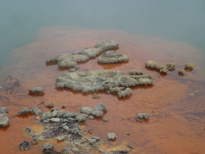 IMG_0816.JPG
