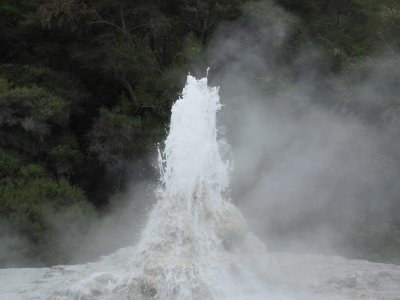 IMG_0822.JPG