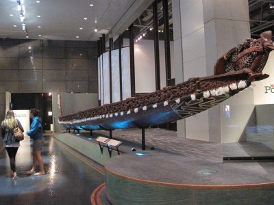 IMG_0927.JPG