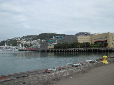 IMG_0954.JPG