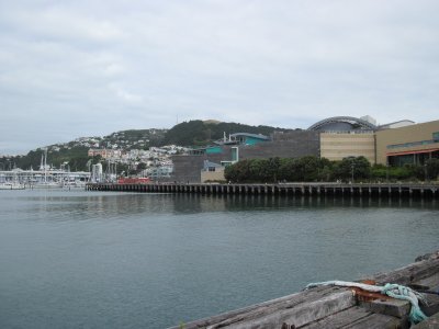 IMG_0955.JPG