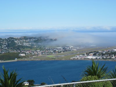 IMG_0971.JPG