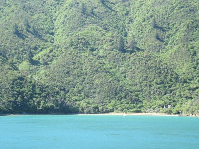 IMG_0993.JPG
