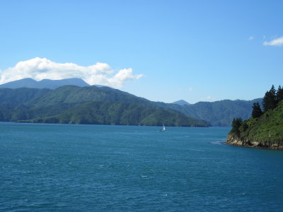 IMG_0994.JPG