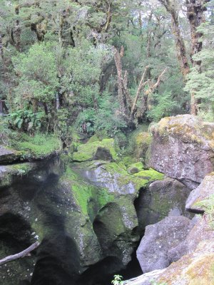 IMG_1385.JPG