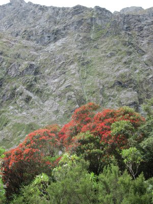 IMG_1413.JPG