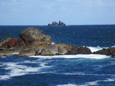IMG_1468.JPG