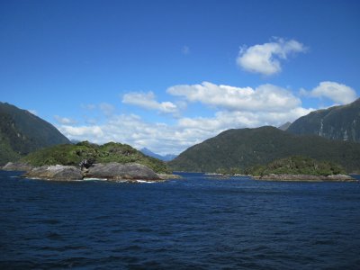 IMG_1475.JPG