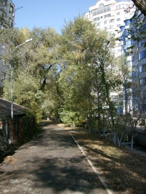 Path down past flats by Little Almatinka River