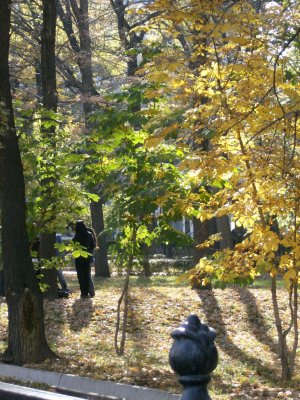 Autumn in Panfilov Park