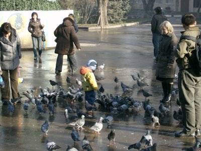 Playing with the pigeons at Zhenkov Cathedral