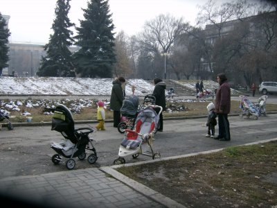 Popular gathering place for babies, buggies and parents