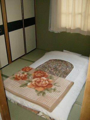 HPIM1450.JPG