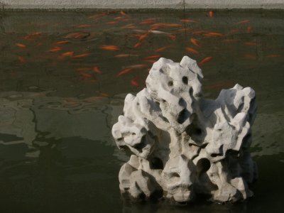 Stone and fish, Behai Park