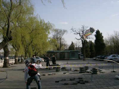 Kite flying, Behai Park