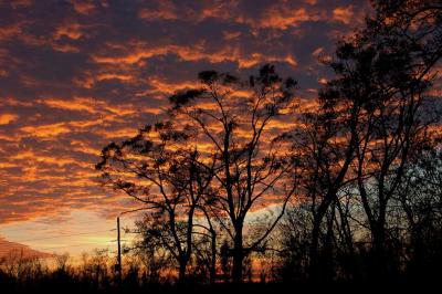 Intense Sunset