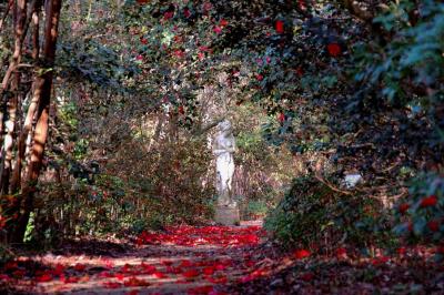 Garden Path