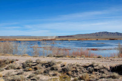 South End Of The Bosque del Apache