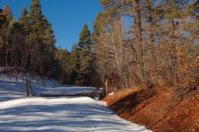 Road to Blue Bird Mesa