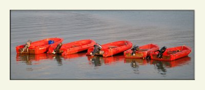 Barques rouge à Calvi