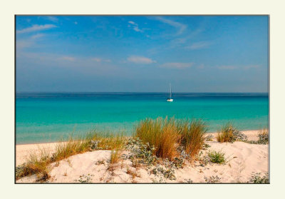 La plage de saleccia dans les agriates