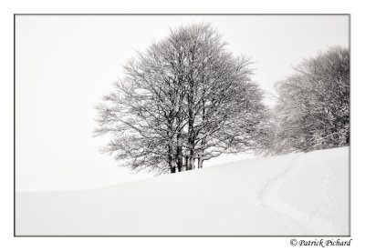 _DSC4364_nb.jpg